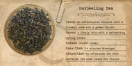 Darjeeling (1st Flush) from Mountain Rose Herbs