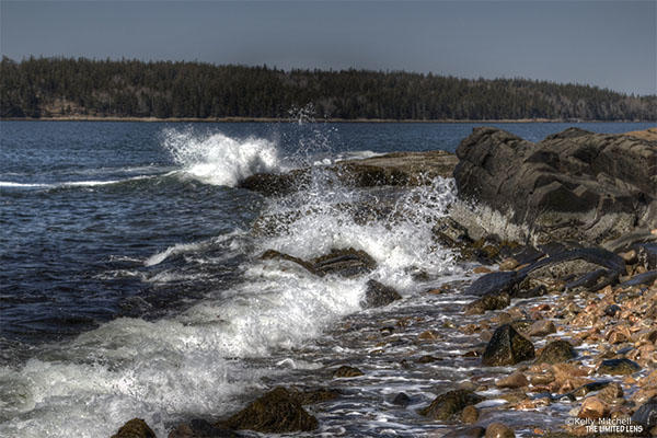 Scenic Bar Harbor to Winter Harbor Ferry Adventure - Bangor