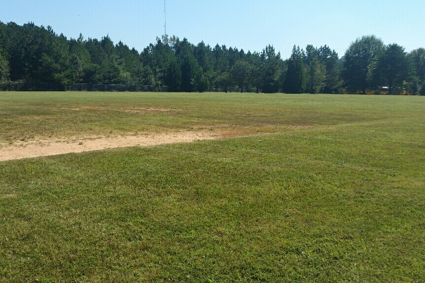  Field