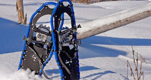 Snowshoe Tour in North Pole Alaska: Wildlife & Winter Fun - Fairbanks