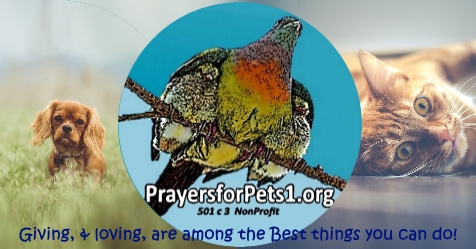 PrayersforPets1.ogr logo