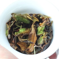 Colorful Peony from Teababy