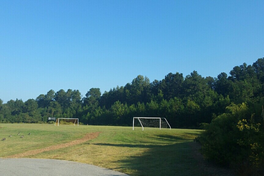 Soccer Field