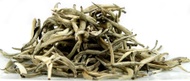 Organic Snow Sprout from Intelligentsia
