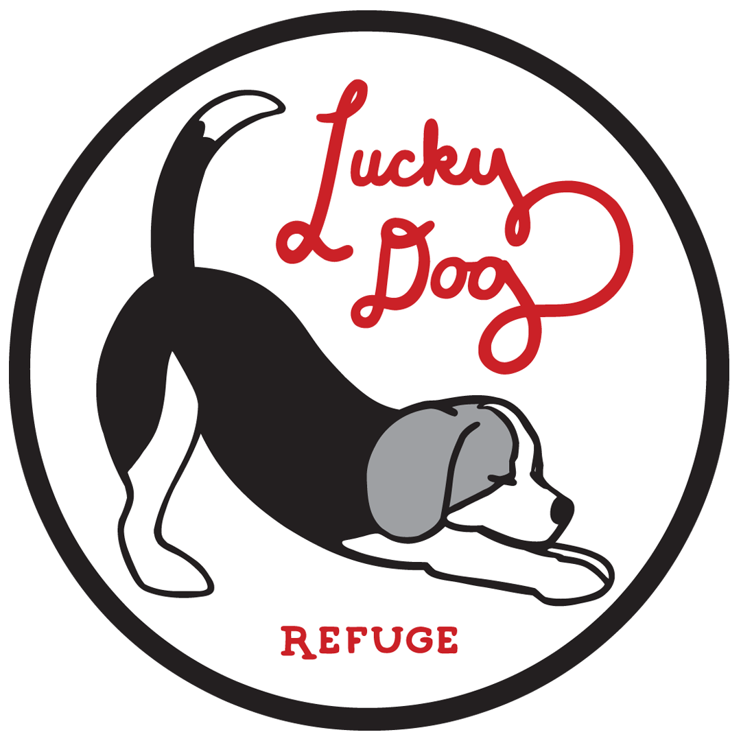Lucky Dog Refuge logo
