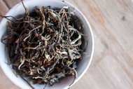 Master Han's 2014 Wild Picked Sheng Puer from Verdant Tea